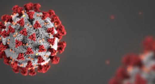 coronavirus